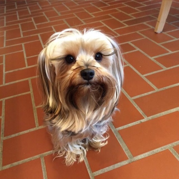 Meet your Posher, Raquel - Picture 6 of 17